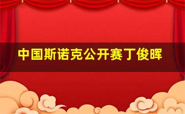 中国斯诺克公开赛丁俊晖