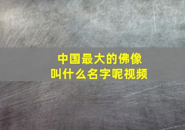 中国最大的佛像叫什么名字呢视频