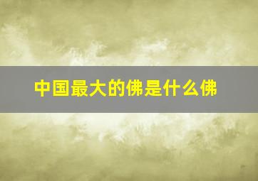 中国最大的佛是什么佛