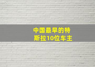 中国最早的特斯拉10位车主