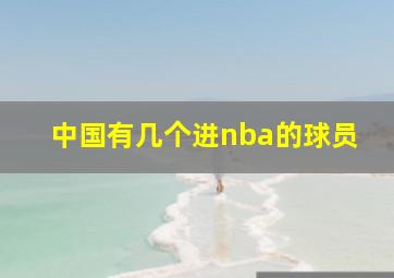 中国有几个进nba的球员