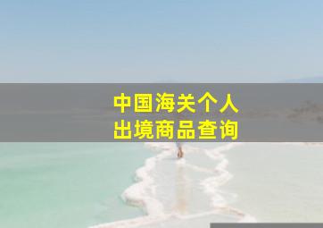 中国海关个人出境商品查询