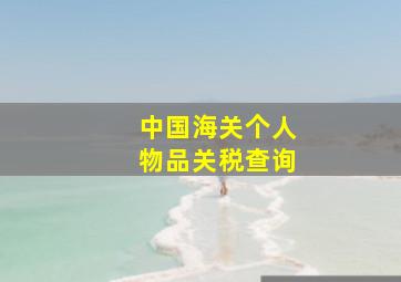 中国海关个人物品关税查询