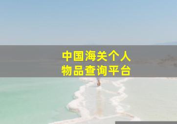 中国海关个人物品查询平台