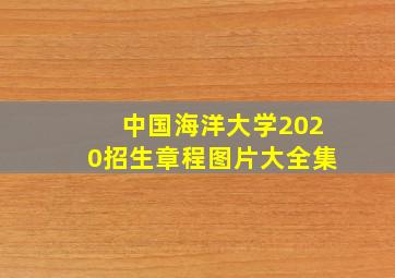 中国海洋大学2020招生章程图片大全集