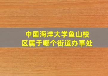 中国海洋大学鱼山校区属于哪个街道办事处