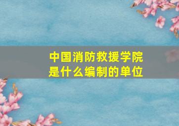 中国消防救援学院是什么编制的单位