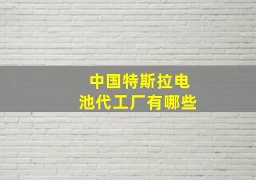 中国特斯拉电池代工厂有哪些