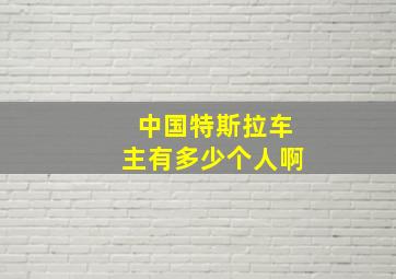 中国特斯拉车主有多少个人啊