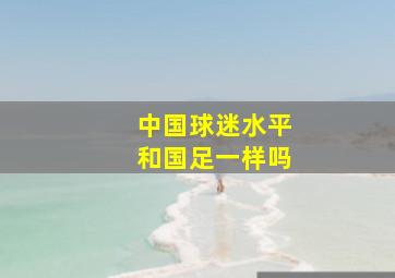 中国球迷水平和国足一样吗