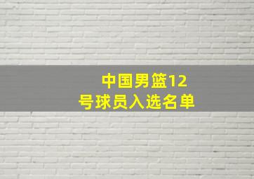 中国男篮12号球员入选名单