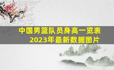 中国男篮队员身高一览表2023年最新数据图片