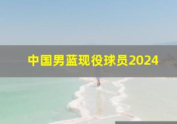 中国男蓝现役球员2024