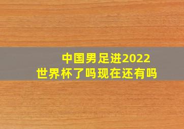 中国男足进2022世界杯了吗现在还有吗