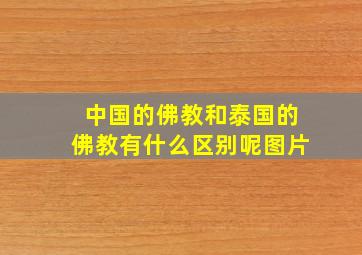 中国的佛教和泰国的佛教有什么区别呢图片