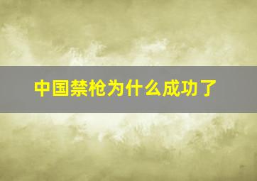 中国禁枪为什么成功了