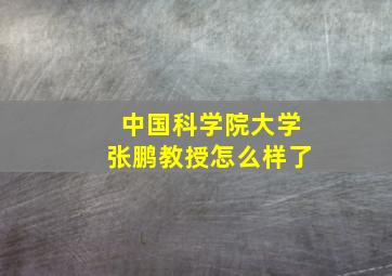 中国科学院大学张鹏教授怎么样了