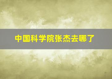 中国科学院张杰去哪了