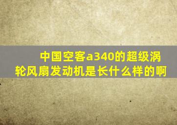 中国空客a340的超级涡轮风扇发动机是长什么样的啊