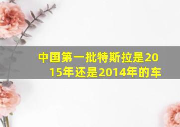 中国第一批特斯拉是2015年还是2014年的车