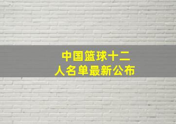 中国篮球十二人名单最新公布