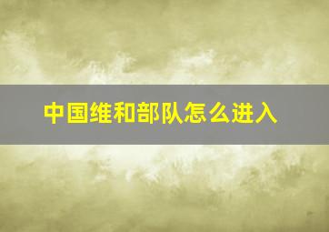 中国维和部队怎么进入