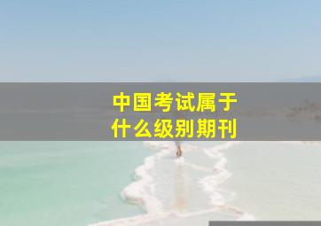 中国考试属于什么级别期刊