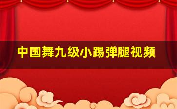 中国舞九级小踢弹腿视频