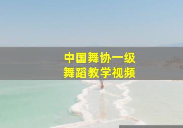 中国舞协一级舞蹈教学视频