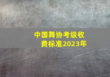 中国舞协考级收费标准2023年