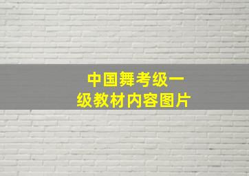 中国舞考级一级教材内容图片