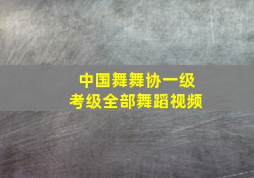 中国舞舞协一级考级全部舞蹈视频