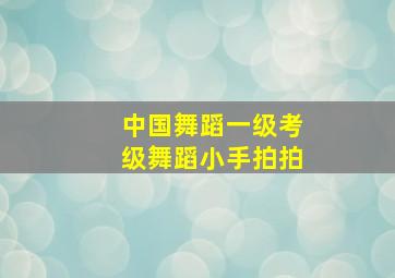 中国舞蹈一级考级舞蹈小手拍拍