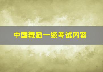 中国舞蹈一级考试内容