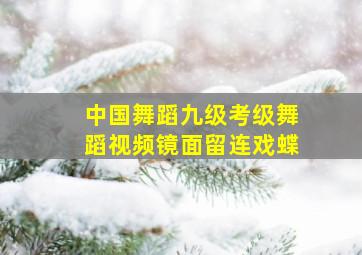 中国舞蹈九级考级舞蹈视频镜面留连戏蝶