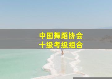 中国舞蹈协会十级考级组合