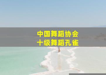 中国舞蹈协会十级舞蹈孔雀