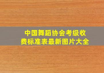 中国舞蹈协会考级收费标准表最新图片大全