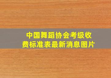 中国舞蹈协会考级收费标准表最新消息图片