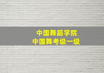 中国舞蹈学院中国舞考级一级