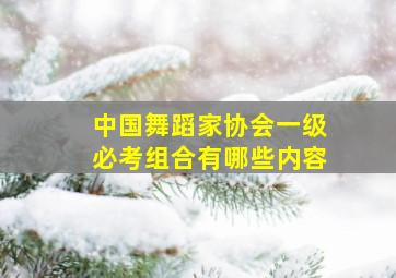 中国舞蹈家协会一级必考组合有哪些内容