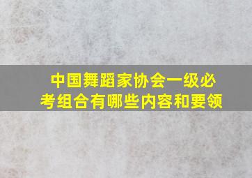 中国舞蹈家协会一级必考组合有哪些内容和要领