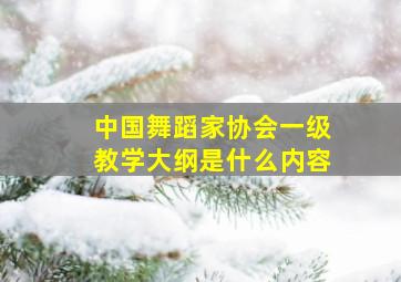 中国舞蹈家协会一级教学大纲是什么内容