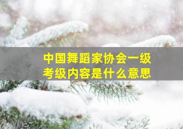 中国舞蹈家协会一级考级内容是什么意思