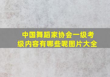 中国舞蹈家协会一级考级内容有哪些呢图片大全