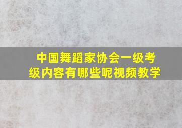 中国舞蹈家协会一级考级内容有哪些呢视频教学