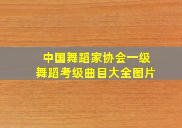 中国舞蹈家协会一级舞蹈考级曲目大全图片