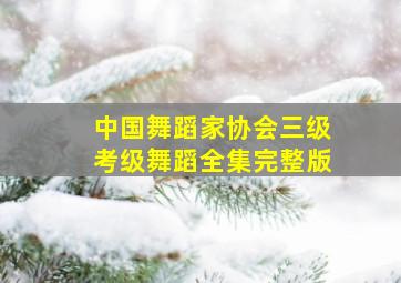 中国舞蹈家协会三级考级舞蹈全集完整版