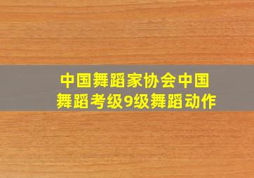 中国舞蹈家协会中国舞蹈考级9级舞蹈动作