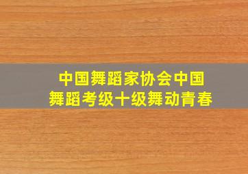 中国舞蹈家协会中国舞蹈考级十级舞动青春